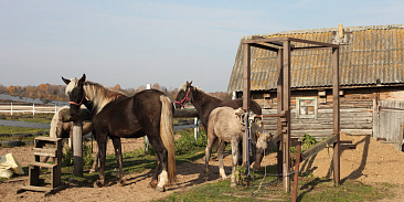 photo